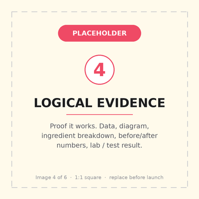 PLACEHOLDER 4 — Logical evidence: proof it works